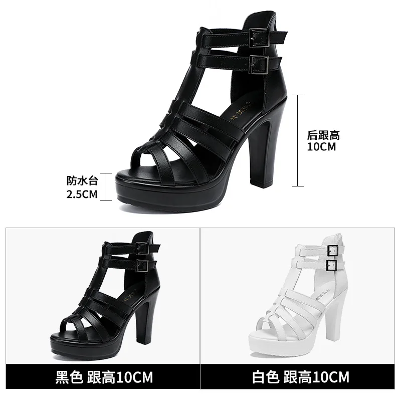 Gladiator Ladies Shoe for Wome - Gladiator Sandal Women review and price
